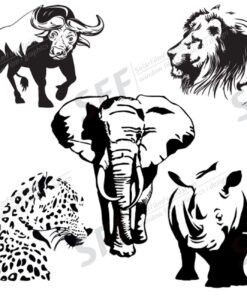 Africa Wallpapers