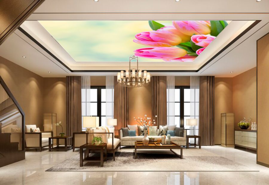 Alternative view of WA000572