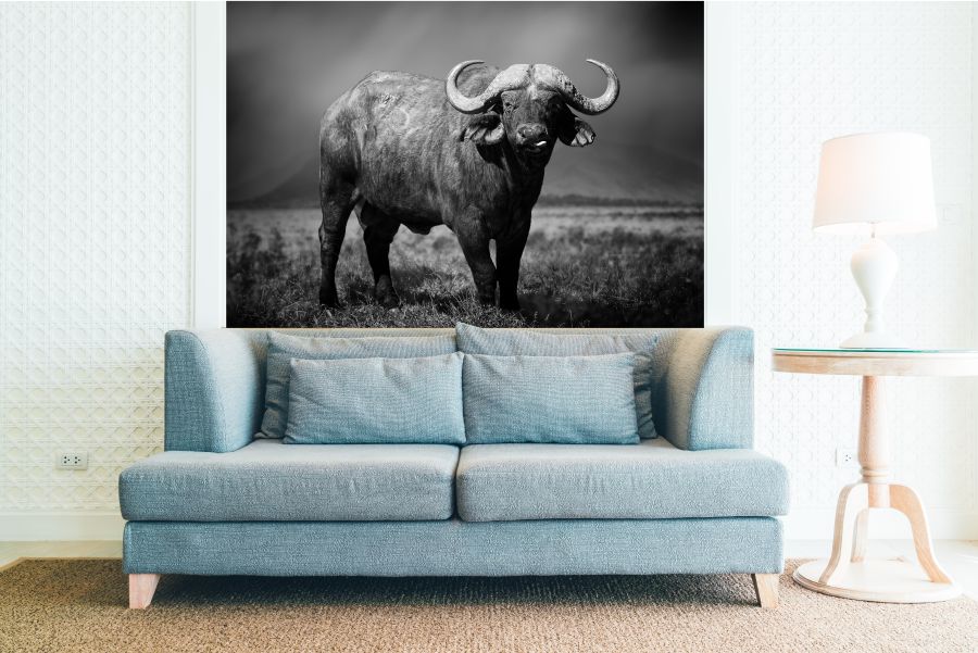 Alternative view of WA000616