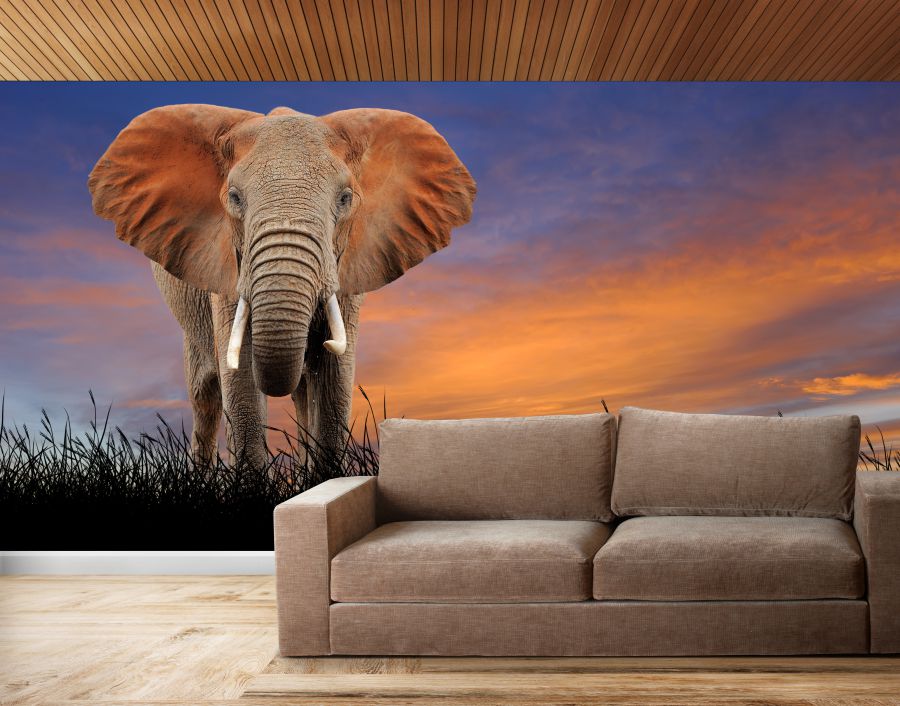 Alternative view of WA000617